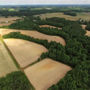 Photo of UNDER CONTRACT!  53.5 Acres of Farm and Timber Land with Building For Sale In Wayne County NC!