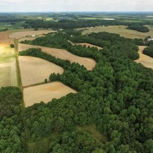 Photo of UNDER CONTRACT!  53.5 Acres of Farm and Timber Land with Building For Sale In Wayne County NC!