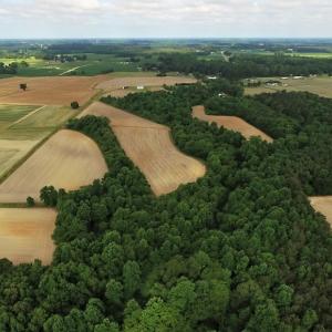 Photo of UNDER CONTRACT!  53.5 Acres of Farm and Timber Land with Building For Sale In Wayne County NC!