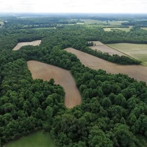 Photo of UNDER CONTRACT!  53.5 Acres of Farm and Timber Land with Building For Sale In Wayne County NC!