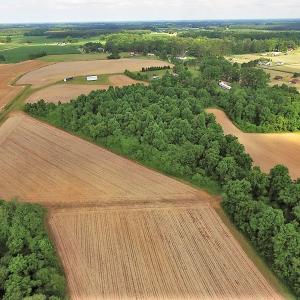 Photo of UNDER CONTRACT!  53.5 Acres of Farm and Timber Land with Building For Sale In Wayne County NC!