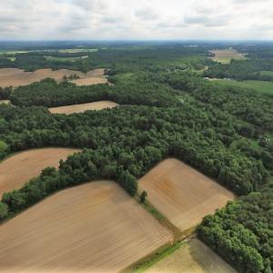 Photo of UNDER CONTRACT!  53.5 Acres of Farm and Timber Land with Building For Sale In Wayne County NC!