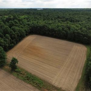 Photo of UNDER CONTRACT!  53.5 Acres of Farm and Timber Land with Building For Sale In Wayne County NC!