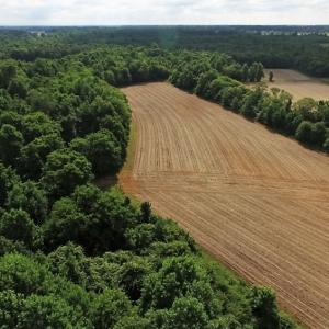 Photo of UNDER CONTRACT!  53.5 Acres of Farm and Timber Land with Building For Sale In Wayne County NC!