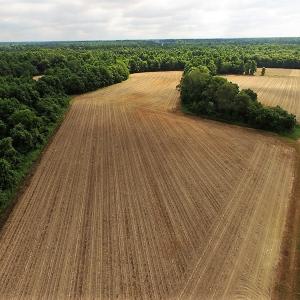 Photo of UNDER CONTRACT!  53.5 Acres of Farm and Timber Land with Building For Sale In Wayne County NC!