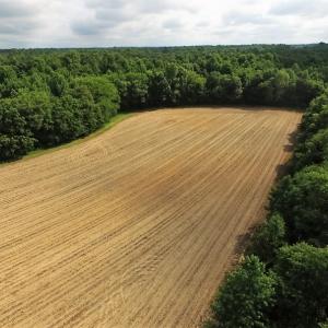 Photo of UNDER CONTRACT!  53.5 Acres of Farm and Timber Land with Building For Sale In Wayne County NC!