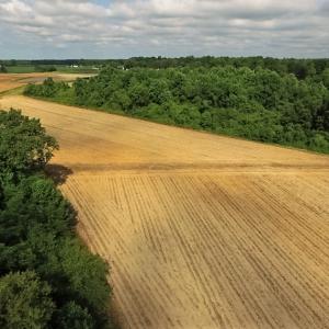 Photo of UNDER CONTRACT!  53.5 Acres of Farm and Timber Land with Building For Sale In Wayne County NC!
