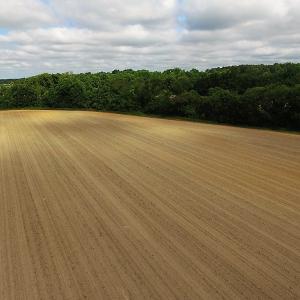 Photo of UNDER CONTRACT!  53.5 Acres of Farm and Timber Land with Building For Sale In Wayne County NC!