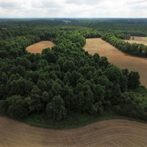 Photo of UNDER CONTRACT!  53.5 Acres of Farm and Timber Land with Building For Sale In Wayne County NC!