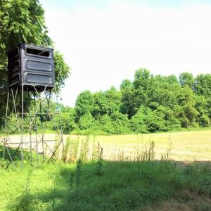 Photo of UNDER CONTRACT!  53.5 Acres of Farm and Timber Land with Building For Sale In Wayne County NC!