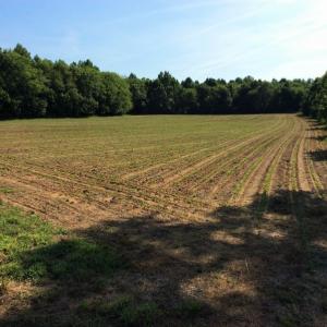 Photo of UNDER CONTRACT!  53.5 Acres of Farm and Timber Land with Building For Sale In Wayne County NC!