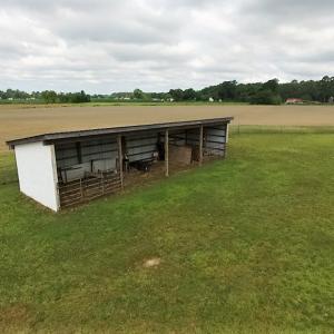 Photo of UNDER CONTRACT!  53.5 Acres of Farm and Timber Land with Building For Sale In Wayne County NC!
