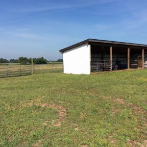 Photo of UNDER CONTRACT!  53.5 Acres of Farm and Timber Land with Building For Sale In Wayne County NC!