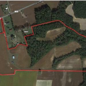 Photo of UNDER CONTRACT!  53.5 Acres of Farm and Timber Land with Building For Sale In Wayne County NC!