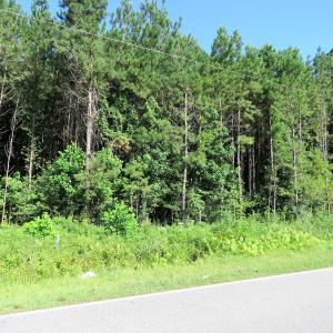 Photo of SOLD!  14 Acres of Hunting Land for Sale in Columbus County NC!