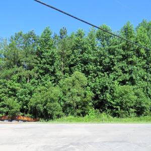 Photo of SOLD!  14 Acres of Hunting Land for Sale in Columbus County NC!