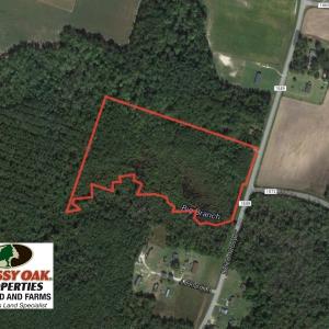 Photo of SOLD!  14 Acres of Hunting Land for Sale in Columbus County NC!