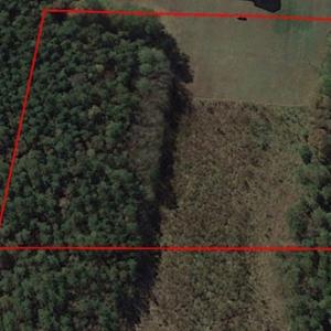 Photo of SOLD!  2.6 Acres of Hunting Land and Home Site For Sale in Suffolk VA!