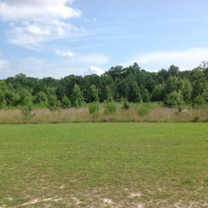 Photo of SOLD!  2.3 Acres of Hunting Land for Sale in Suffolk VA!