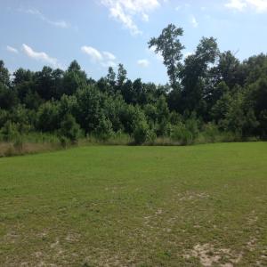 Photo of SOLD!  2.3 Acres of Hunting Land for Sale in Suffolk VA!