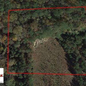 Photo of SOLD!  2.3 Acres of Hunting Land for Sale in Suffolk VA!