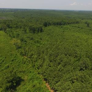 Photo of SOLD!  10 Acres of Land For Sale In Warren County NC!