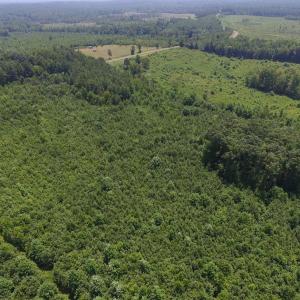 Photo of SOLD!  10 Acres of Land For Sale In Warren County NC!