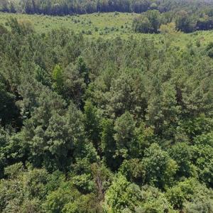 Photo of SOLD!  10 Acres of Land For Sale In Warren County NC!