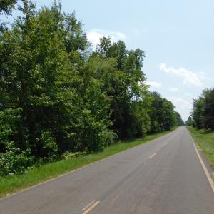 Photo of SOLD!  10 Acres of Land For Sale In Warren County NC!
