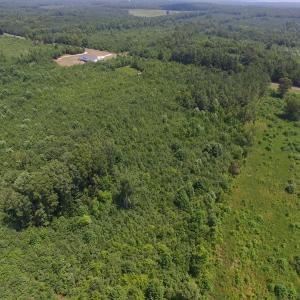 Photo of SOLD!  10 Acres of Land For Sale In Warren County NC!