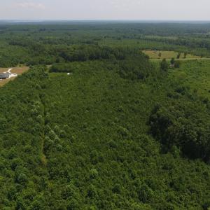 Photo of SOLD!  10 Acres of Land For Sale In Warren County NC!