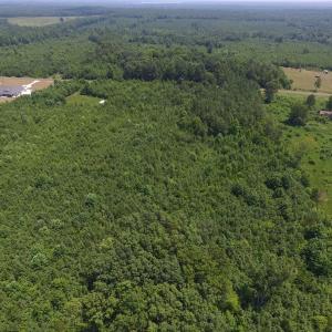Photo of SOLD!  10 Acres of Land For Sale In Warren County NC!