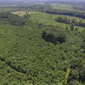 Photo of SOLD!  10 Acres of Land For Sale In Warren County NC!