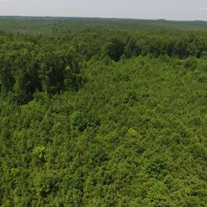 Photo of SOLD!  10 Acres of Land For Sale In Warren County NC!