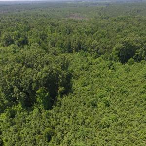 Photo of SOLD!  10 Acres of Land For Sale In Warren County NC!