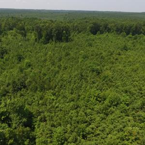 Photo of SOLD!  10 Acres of Land For Sale In Warren County NC!
