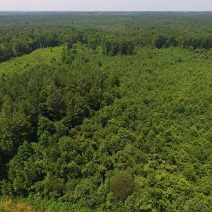 Photo of SOLD!  10 Acres of Land For Sale In Warren County NC!