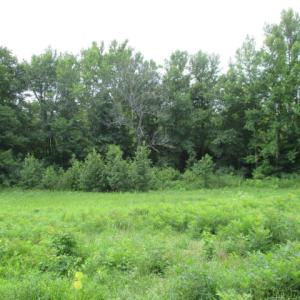 Photo of UNDER CONTRACT!  2.5 Acres Farm Land with House For Sale in Lunenburg County VA!