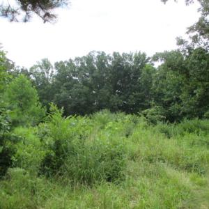 Photo of UNDER CONTRACT!  2.5 Acres Farm Land with House For Sale in Lunenburg County VA!