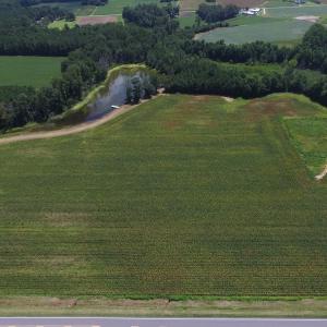 Photo of SOLD!  26.83 Acres of Farm Land With Pond For Sale In Edgecombe County NC!