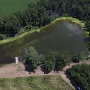 Photo of SOLD!  26.83 Acres of Farm Land With Pond For Sale In Edgecombe County NC!