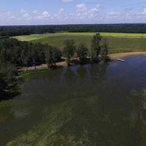 Photo of SOLD!  26.83 Acres of Farm Land With Pond For Sale In Edgecombe County NC!