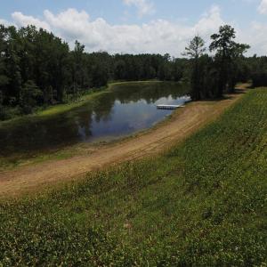 Photo of SOLD!  26.83 Acres of Farm Land With Pond For Sale In Edgecombe County NC!
