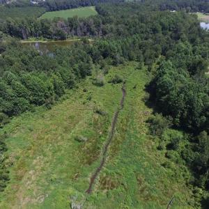 Photo of SOLD!  26.83 Acres of Farm Land With Pond For Sale In Edgecombe County NC!