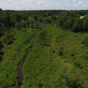 Photo of SOLD!  26.83 Acres of Farm Land With Pond For Sale In Edgecombe County NC!