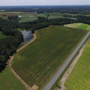 Photo of SOLD!  26.83 Acres of Farm Land With Pond For Sale In Edgecombe County NC!