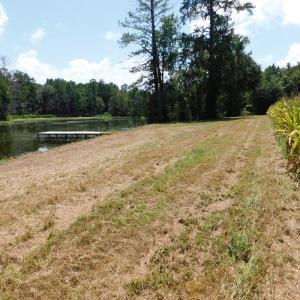 Photo of SOLD!  26.83 Acres of Farm Land With Pond For Sale In Edgecombe County NC!