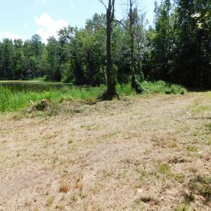 Photo of SOLD!  26.83 Acres of Farm Land With Pond For Sale In Edgecombe County NC!