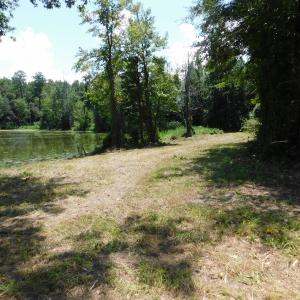 Photo of SOLD!  26.83 Acres of Farm Land With Pond For Sale In Edgecombe County NC!