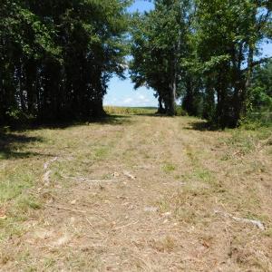 Photo of SOLD!  26.83 Acres of Farm Land With Pond For Sale In Edgecombe County NC!